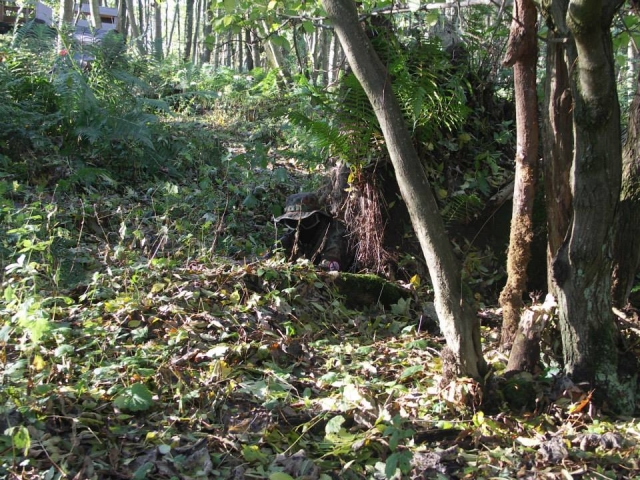  Escondiéndose del enemigo 